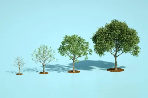 The Power of Perspective: How Attitude Shapes Opportunity