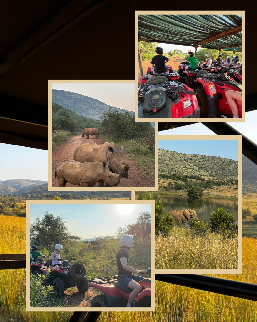 Expanding Horizons: International Growth Opportunities at M90 Strategies